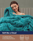 Pawque Super Soft Cozy Throw Blanket for Couch Bed - Fluffy Sherpa Fleece Reversible Thick Warm Fuzzy Blanket for All-Season, 3D Checkered Jacquard Elegant Decorative Blankets, Teal Green, 50" x 60" by CozyNest Decor