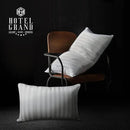 Hotel Grand Softy-Around Feather Down Pillows Queen Size Set of 2 Packs White Strip 100% Cotton Fabric Bed Pillows for All Position Sleepers,28"x20"/2 Packs by CozyNest Decor