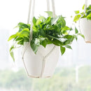 Dahey Macrame Plant Hanger Indoor Outdoor Hanging Planter Basket Large for up to 12" Pot Handmade Woven Cotton Rope Flower Pots Holder for Boho Home Decor, 43 Inch, Set of 2 by GreenHaven Gardens