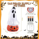 Halloween Snow Globe Lantern Spooky Glost and Pumpkin Halloween Snow Globes Musical Water Glitter Globe with 6H Timer Battery Operated or USB Powered for Spooky Home Decorations (Ghost and Pumpkin) by CozyNest Decor