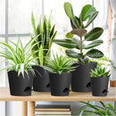 7/6.5/6/5.5/5/4 inch Self Watering Pots for Indoor Outdoor Plants, 6 Pack Plastic Flower Planters with Drainage Holes and Removable Saucers, Plant Pots with Wicking Rope, Modern Decor, Black by GreenHaven Gardens