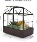 Large Tall Plant Terrarium Glass Greenhouse with Lid and Tray, Indoor Tabletop Orchid Succulent Cacti Kit 9.5'X9.8'X5.6' by GreenHaven Gardens