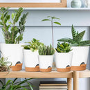 GARDIFE Plant Pots 7/6.5/6/5.5/5 Inch Self Watering Planters with Drainage Hole, Plastic Flower Pots, Nursery Planting Pot for All House Plants, African Violet, Flowers, and Cactus,White by GreenHaven Gardens
