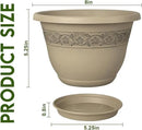 8 Inch Plant Pots with Drainage Hole - Lightweight Flower Pots for Herbs and Flowers - Home Decor Plastic Planters for Indoor Outdoor Plants- Pack of 6 (Brown, 8 inch) by GreenHaven Gardens