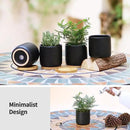 4 Inch Ceramic Plant Pots with Drainage Holes and Trays, Adorable Small Cylinder Flower Planter Pot for Indoor Plants, Succulent, Snake Plants, Cactus & Herbs, Black, Set of 4 by GreenHaven Gardens