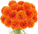 Kimura's Cabin 20Pcs Orange Fake Mums Flowers Artificial Silk Chrysanthemums Faux Ball Flower for Wedding Arrangement Fall Bouquets Home Table Decoration Halloween Decor(Orange) by CozyNest Decor