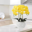 Orchid Artificial Flowers with White Vase Large Silk Faux Phalaenopsis Flowers for Dining Room Table Floral Centerpieces Indoor Decoration,Yellow by CozyNest Decor