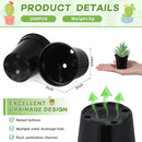 Yaomiao 200 Pcs 2 Inch Black Mini Plastic Plant Pot Nursery Seedling Pots Seed Starter with Drainage Holes for Indoor Outdoor Garden Succulent Plants Cuttings Transplanting by GreenHaven Gardens