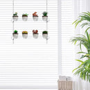 2-Tier Clear Hanging Window Plant Shelves 16inch,Indoor Windows Wall Hanging Plant Stand Flower Display,Flower Pot Organizer Storage for Window Grow Herbs,Microgreens,Succulents,Flower by GreenHaven Gardens