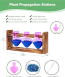 Nacome Plant Terrarium for Office Decor: Birthday Gifts for Plant Lovers Women Mom Wife - Wooden Stand Tabletop Planter 3 Bulb Glass Vase Heart Shaped for Hydroponics Indoor Home(Purple) by CozyNest Decor
