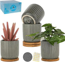 TAMAYKIM 4 Inch Cylinder Ceramic Plant Pots with Drainage Holes & Saucers, Glazed Green Grey Small Boho Planters with Trays for Indoor Flower, Snake Plants, Succulent, Cactus, Set of 4 by GreenHaven Gardens