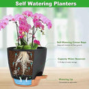 6 Inch Orchid Pots with Holes, 2 Pack Self Watering Planters for Orchids Plastic Orchid Pot Plant Flower Pots for Orchids Indoor Outdoor (Black with Brown) by GreenHaven Gardens