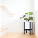 D'vine Dev Ceramic Planter with Ebony Stand - 8 Inch Modern Round Flower Pot with Wood Planter Holder, White, 55-B-M-1 by CozyNest Decor