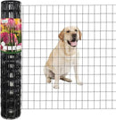 Black PVC Coated Welded Wire Fence 36 Inch x 25 Foot, 2 Inch x 3 Inch 16GA, Garden Border Fencing Roll Vinyl Coating Metal Wire Mesh for Yard Vegetable Plant Protection Poultry Netting by GreenHaven Gardens