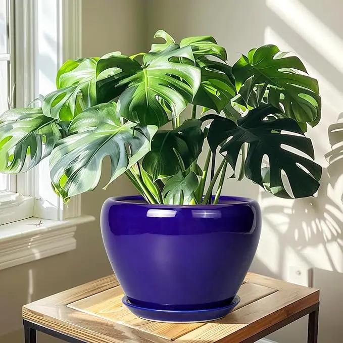 Ceramic Planter 10 Inch - Indoor Plant Pot for Plants with Drainage Hole and Saucer Large Planter Round Outdoor Flower Pot Mid-Century for House Patio Decor Blue, photo 5 of 7