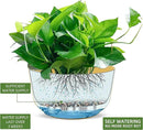 Dexceder 8.75 Inch Self Watering Hanging Planters Indoor Outdoor, Thickened Hanging Basket Flower Plant Pot (2 Pack, Yellow) by CozyNest Decor