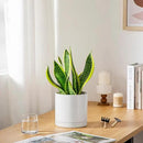 vancasso Ceramic Plant Pots, 6.25 Inch Ceramic Pot for Plants, Planters Pots for Indoor Plants with Drainage Holes, Flower Pot for Indoor House Plant, White