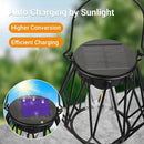 Solar Lanterns Outdoor Waterproof, Upgraded Powered Hanging Solar Lights for Outside, Auto On/Off, Brighter Hanging Outdoor Decor Lights for Yard Garden Patio Pathway 2 Pack by GreenHaven Gardens