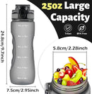 OLDLEY 25 oz Water Bottle, Motivational Water Bottle with Time Marker, Sports Water Bottle With Strap, Leakproof & BPA Free Large Water Bottles for School, Gym, Travel, Outdoor, Tritan,Gray by CozyNest Decor
