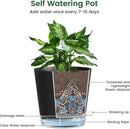 6 inch Self Watering Pots for Indoor Outdoor Plants, 3 Pack Flower Plant Pots with Drainage Holes and Clear Reservoirs, Visible Water Level, Plastic Planters with Wicking Rope, Black by CozyNest Decor
