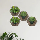 Hexagonal Wooden Wall Planter, Self Watering Living Vertical Planter Indoor, Wooden Frame Planter Wall Decoration Home Office,2pc Walnut by CozyNest Decor