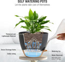 10 inch Self Watering Hanging Planters, 2 Pack Hanging Flower Pots for Indoor Outdoor Plants, Hanging Baskets with Drainage Holes & 2 Kinds of Plant Hangers for Garden Home Decor, Black Brown by CozyNest Decor