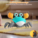 Crawling Crab Baby Toy - Infant Tummy Time Crab 3 4 5 6 7 8 9 10 11 12 Crab Toys for Babies Boy 3-6 6-12 Learning Crawl 9-12 12-18 36 Months Walking Toddler Development Birthday Gifts with Dancing by TinyTreasures Baby Boutique