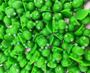 220 Pcs Mini Frog Figurines Miniature Resin Frogs,Mini Frogs Bulk Fairy Garden Moss Landscape Ornaments for Outdoor Decoration,Home Décor by GreenHaven Gardens