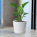 6 Inch Plant Pots Bulk, 6 Pack Plastic Planters with Drainage Holes and Saucers for Indoor Outdoor House Plants and Flowers, White by GreenHaven Gardens