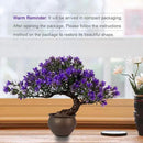 Fake Plants Plastic Artificial Bonsai Tree, Purple Room Decor Bonsai Tree for Home Bedroom Farmhouse Office Desk Decor, Tall 9.5" by GreenHaven Gardens