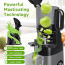 Cold Press Juicer, 5.3" Wide Feed Chute Juice Extractor Machine with 400W, High Juice Yield, Slow Masticating Juicer for Whole Vegetables & Fruits, Deep Grey by CozyNest Decor