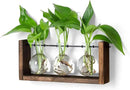 YIBOT Plants Propagation Stations,Plant Terrarium with Wooden Stand Wall Hanging Glass Planter Plant Propagation Vase for Indoor Office Home Garden Decor Plant Lover Gifts for Women by CozyNest Decor