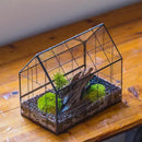 NCYP Geometric Glass Terrarium with Front Opening Door, House Shape Closed Micro Landscape Planter Box for Small Succulent, Cacti - Home Indoor Tabletop Decor, Handmade, Black (No Plants) by GreenHaven Gardens