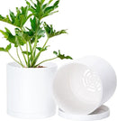 D'vine Dev 2 Pack 6 Inch Modern Plastic Plant Pots, Small Garden Planters for Plant with Drainage Holes and Saucers, White Color, 74-Z-J-1 by GreenHaven Gardens