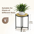 Bamworld Rattan Plant Stand Indoor,Round Plant Table for Large Plants,Tall Heavy Duty Plant Holder for Living Room Bedroom Balcony,Boho Rattan Decor by GreenHaven Gardens