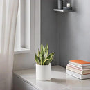 Docrin Ceramic Planters Indoor: 8 Inch Plant Pot with Drainage Holes for Home/Office - White Honeycomb by GreenHaven Gardens