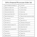 30 Microscope Slides with Specimens, Prepared Microscope Slides Set with Plants Animals Insects for Adults Students Homeschool Basic Biological Science Education by TinyTreasures Baby Boutique