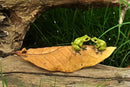 Top Collection Enchanted Story Garden Kissing Frogs on Leaf Outdoor Decor by GreenHaven Gardens
