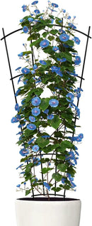 4 Pack 43'' Indoor Plant Trellis for Potted Plants Climbing Outdoor Metal Garden Trellis Houseplants Flowers Vine Ivy,Fan Shape, Black by GreenHaven Gardens