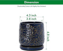 D'vine Dev 4 Inch Embossed Leaves Stoneware Planter Pot with Drainage Hole and Saucer, Midnight Blue, 27-A-Z-3 by GreenHaven Gardens