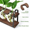 THYGIFTREE Plant Propagation Stations with Wooden Stand, Desktop Retro Plant Terrarium Bulb Vase for Indoor Hydroponic Flowers, Tabletop Glass Planter Housewarming Gifts for Plant Lovers by GreenHaven Gardens