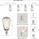 DAMAING LED Outdoor String Lights 100FT Patio Lights with 52 Shatterproof Edison Bulbs,Dimmable Hanging Lights,Waterproof String Lights for Outside Wedding,Bistro,Porch,Backyard,2200K by GreenHaven Gardens