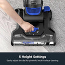 Eureka Lightweight Powerful Upright Vacuum Cleaner for Carpet and Hard Floor, PowerSpeed, New Model,Blue,black/New Model by CozyNest Decor