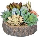 Premium Assorted Artificial Succulent Collection - Large Real Touch Artificial Cactus, Aloe Vera & Succulent Plants Artificial with Pots for Home Office Indoor (Artificial Tree Stump - Pot) by CozyNest Decor