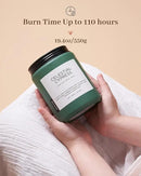 M&SENSE Celestial Cypress - Cedar & Spice Soy Jar Candles, Cedarwood Cardamom Large Winter Scented Candles 19.4oz 110 Hour Long Lasting Burn, Non Toxic Natural Warm Woody Scent Gifts for Men Women by CozyNest Decor