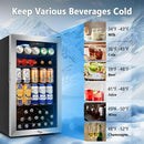 Tylza 130 Can Beverage Refrigerator Cooler, 3.22 Cu.Ft Beverage Cooler with Low-E Glass Door, Safety Lock, Beverage Fridge for Soda, Beer, Wine, Mini Fridge for Home, Office, Bar, Bedroom, Silver by CozyNest Decor