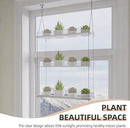 Hanging Clear Window Plant Shelves, Height Adjustable Acrylic Window Plant Hanger, 3-Tier Sturdy Window Sill Plant Shelf for Indoor Window Grow Herbs, Succulents, Flower by GreenHaven Gardens