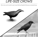 NACH Crow Decor, 4.5 x 11 x 3.5 inch, Cast Iron Black Raven Statue, Raven Decor for Outside - Head Up Crow Statue by GreenHaven Gardens