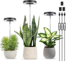 LORDEM Grow Light, Full Spectrum LED Plant Light for Indoor Plants, Height Adjustable Growing Lamp with Auto On/Off Timer, 4 Dimmable Brightness, Ideal for Small Plants, 3 Packs of Black by GreenHaven Gardens