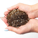 Professional Carnivorous Plant Soil - Ready to Use for Venus Flytraps, Sundews, Pitcher Plants, Butterworts | Peat Moss, Coco Coir, Perlite - 3 Quart Bag by GreenHaven Gardens